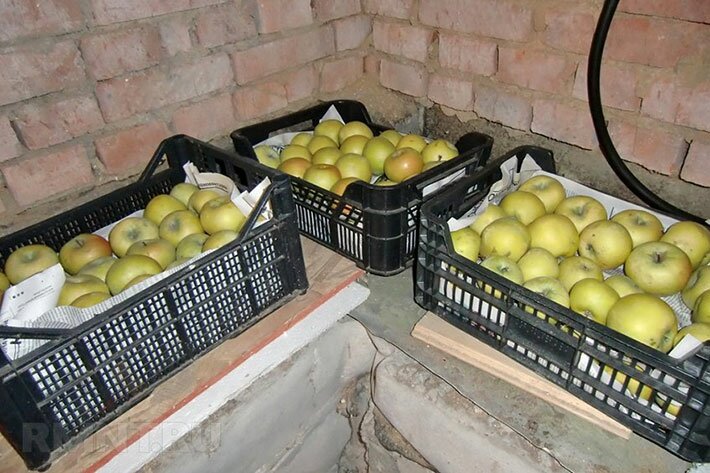 Упаковка яблок в специальные ящики